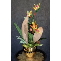 Kompozycja PREMIUM STRELICJE gumowe LUX w złotej osłonce